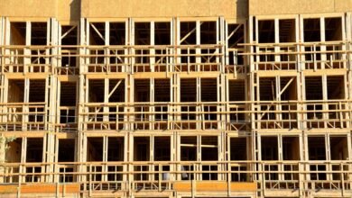 innovative digital growth framework