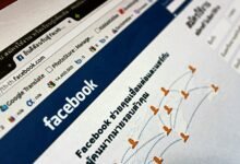 web platform support services